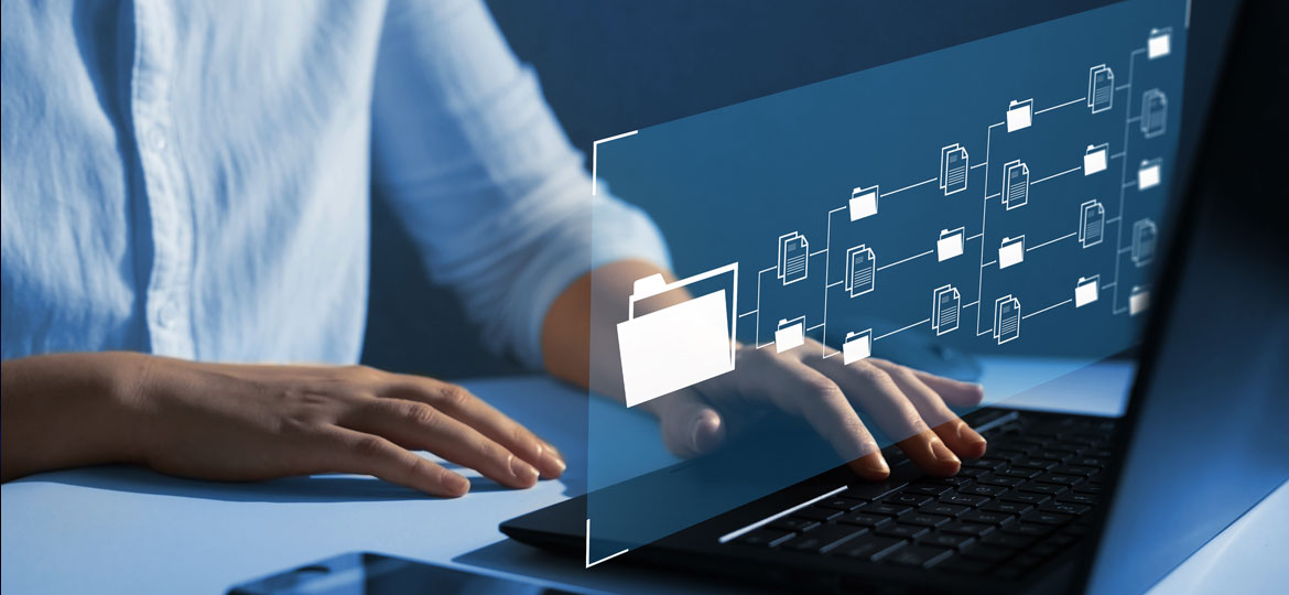 Insight Bisnis 2026: Tren Usaha yang Paling Menjanjikan di Era Digital