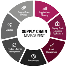 Panduan Audit Supply Chain Berkelanjutan: Membangun Kepercayaan Konsumen Lewat Transparansi